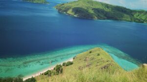 komodo zaurus 1600 x 900_0005_IMG_20180308_193255