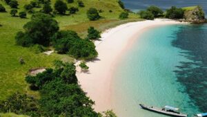 komodo zaurus 1600 x 900_0016_Pink beach