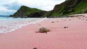 Pink Bech1600 x 900_0003_pink beach (1)