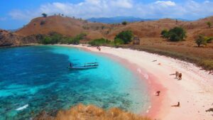 Pink Bech1600 x 900_0003_pink beach (2)
